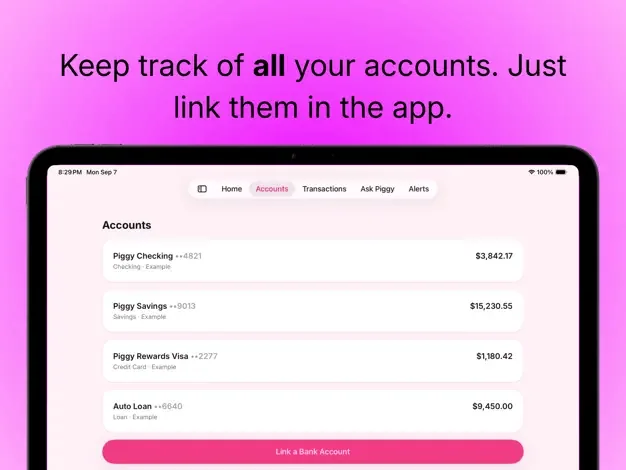 Piggy linked accounts on iPad