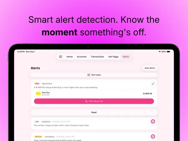 Piggy alerts on iPad